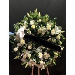 CORONA PAZ - Imagen 1