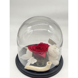 CÚPULA AMOR - Imagen 1
