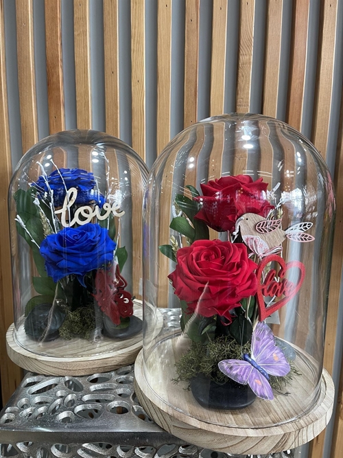 CÚPULA BELLEZA ETERNA - Imagen 1