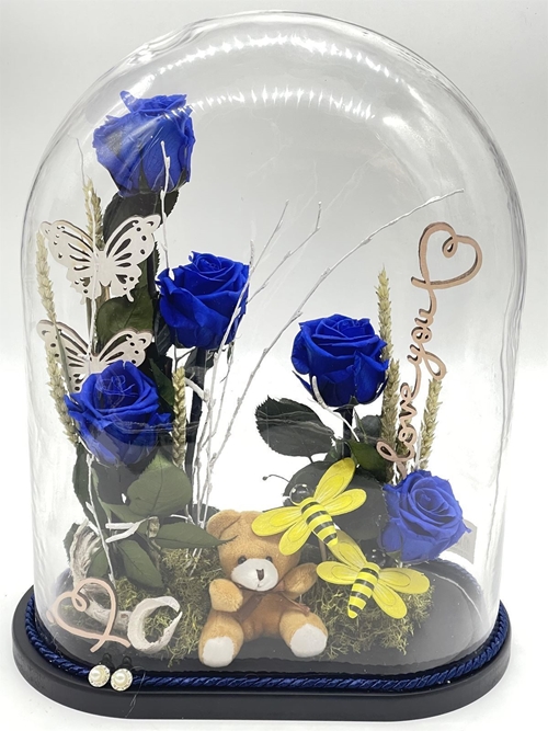 CÚPULA CALMA - Imagen 1