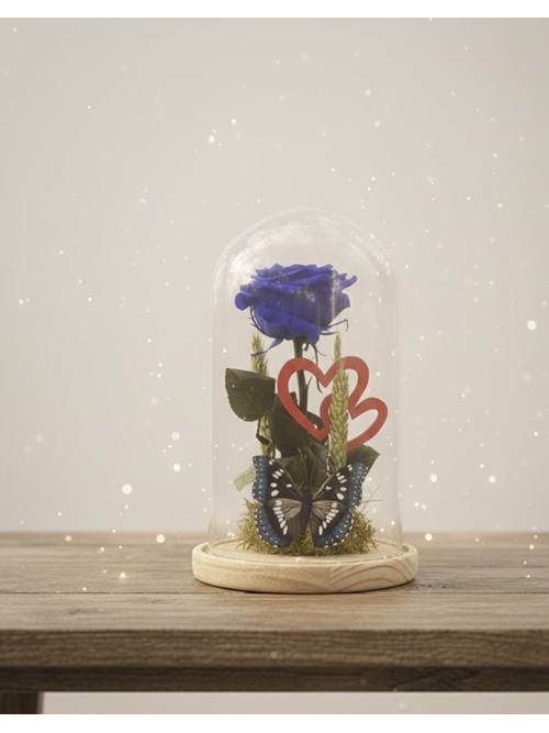 CÚPULA ENSUEÑO - Imagen 1