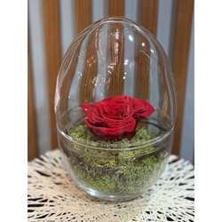 CÚPULA FLORAL ETERNA - Imagen 1