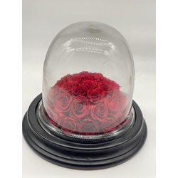 CÚPULA PEQUEÑO TESORO - Imagen 1