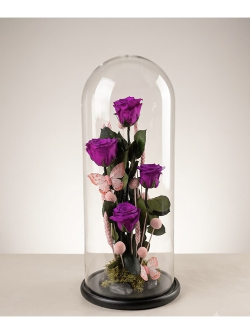 CÚPULA ROSAS MALVAD - Imagen 1