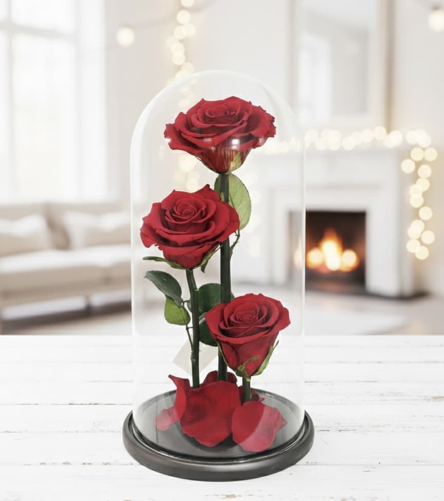 CÚPULA TRES PROMESAS - Imagen 1