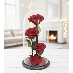 CÚPULA TRES PROMESAS - Imagen 1