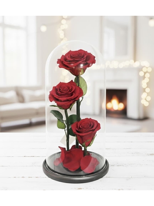 CÚPULA TRES PROMESAS - Imagen 1