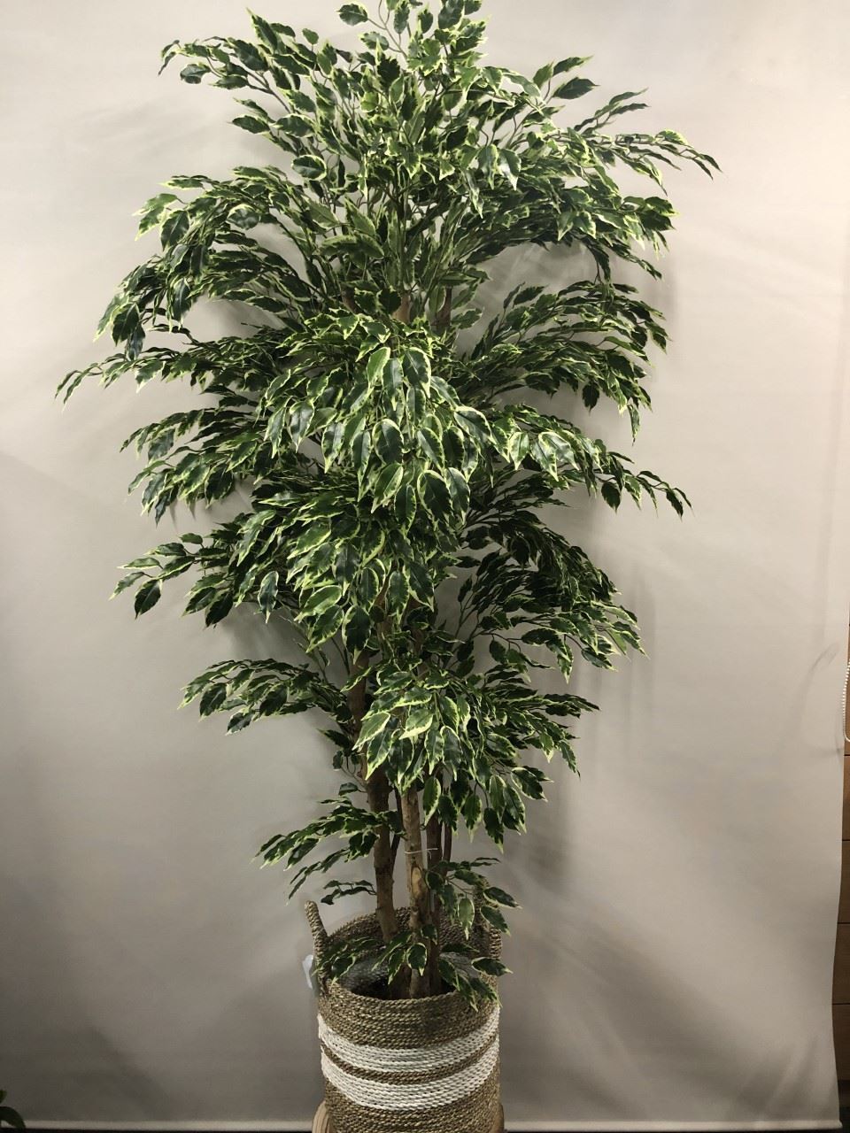 Ficus en Artificial Con Macetero - Imagen 1