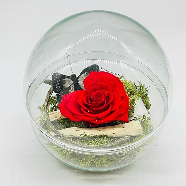 Flores Preservadas