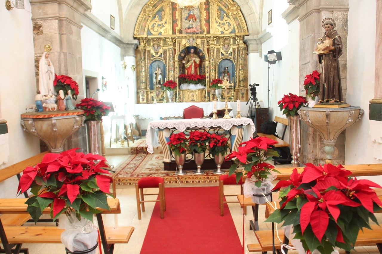 Iglesia de Poinsettias Rojas - Imagen 4