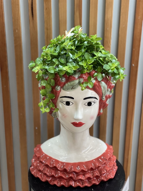 MACETERO LUZÍA - Imagen 1