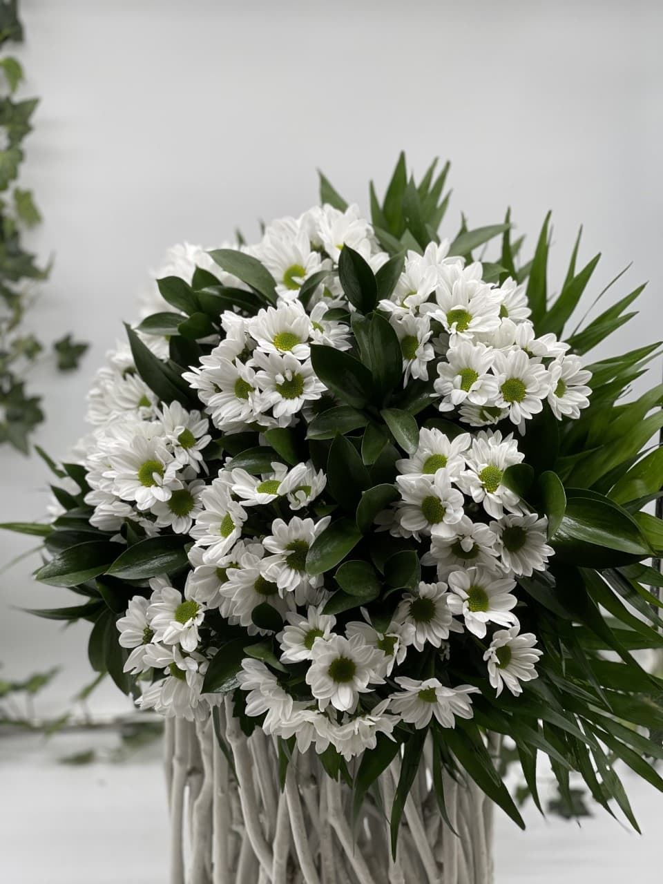 MARGARIDA - Imagen 1