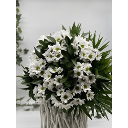 MARGARIDA - Imagen 1