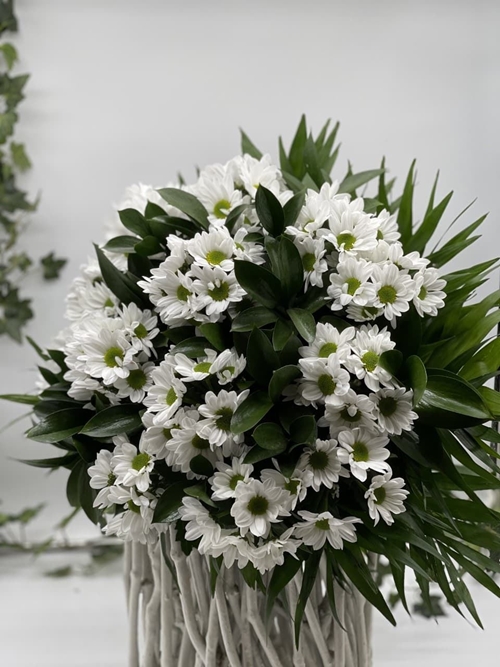 MARGARIDA - Imagen 1