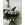 MARGARIDA - Imagen 2