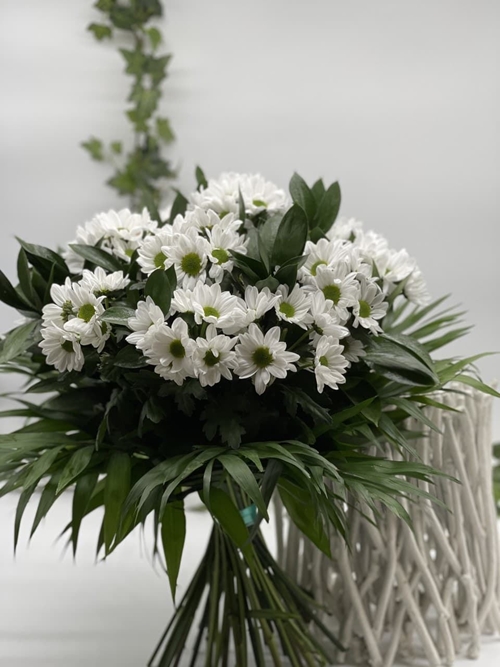 MARGARIDA - Imagen 2