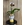 ORQUIDEA FRIDA - Imagen 1