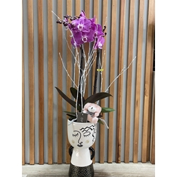 ORQUIDEA MACETA FACIAL - Imagen 1