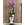 ORQUIDEA MACETA FACIAL - Imagen 1