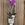 ORQUIDEA MACETA FACIAL - Imagen 1