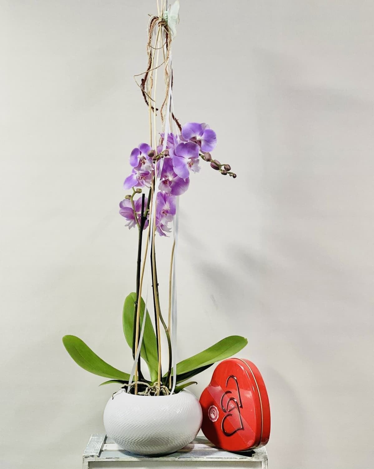 ORQUIDEAS DIA DE LA MADRE