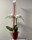 Phalaenopsis blanca con macetero rojo - Imagen 1