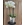 PHALAENOPSIS BLANCA - Imagen 1