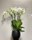 Phalaenopsis de 4 varas con cubremacetas - Imagen 1