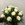 Ramo 18 Rosas Blancas - Imagen 1