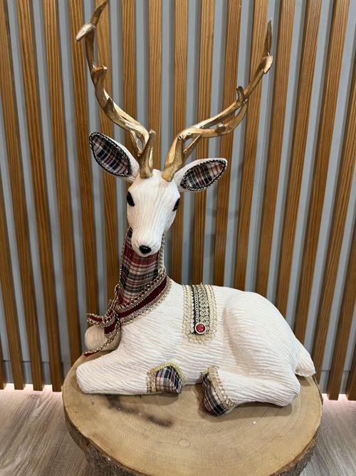 Reno mediano - Imagen 1