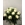 ROMANCE - Imagen 1