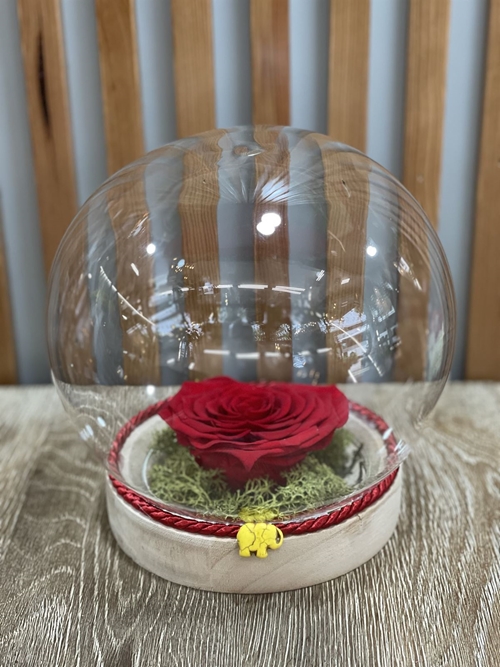 ROSA CORAZON - Imagen 2