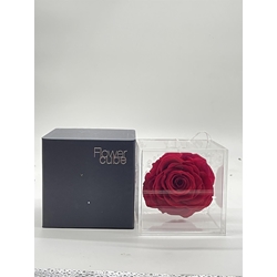 ROSA ETERNA PERFUMADA - Imagen 1