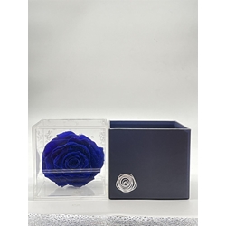 ROSA ETERNA PERFUMADA - Imagen 2