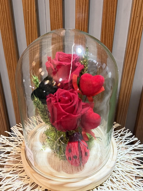 ROSA PRESERVADS - Imagen 1