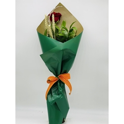 ROSA SANT JORDI - Imagen 1