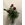 SUSURRO - Imagen 1