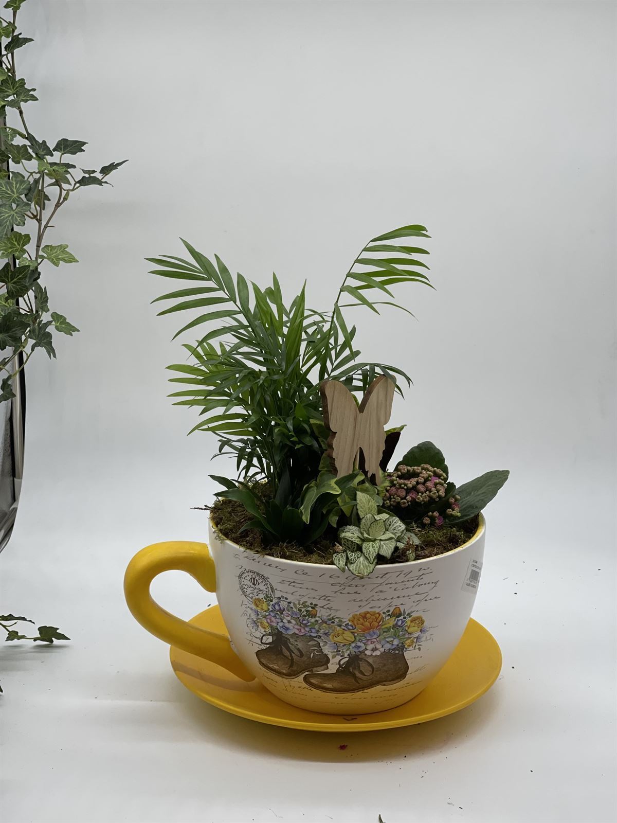 Taza con plantas - Imagen 1