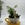 Taza con plantas - Imagen 1