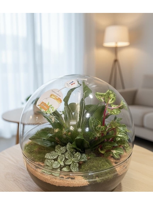 TERRARIO GRANDE - Imagen 1