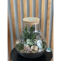 TERRARIO REFUGIO VERDE - Imagen 1