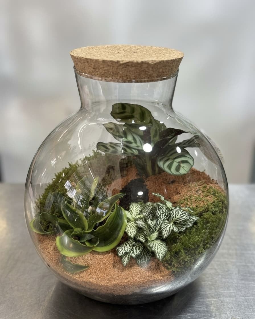 TERRARIUM - Imagen 1