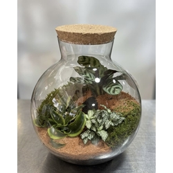 TERRARIUM - Imagen 1