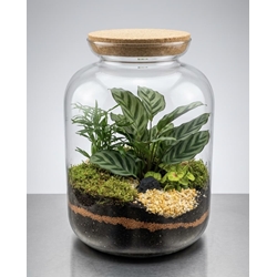 TERRARIUM - Imagen 1