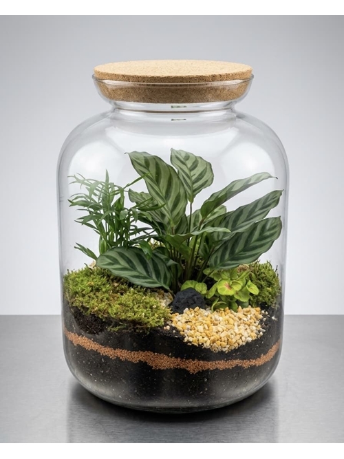 TERRARIUM - Imagen 1