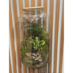 TTERRARIO GRANDE - Imagen 1