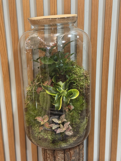 TTERRARIO GRANDE - Imagen 1